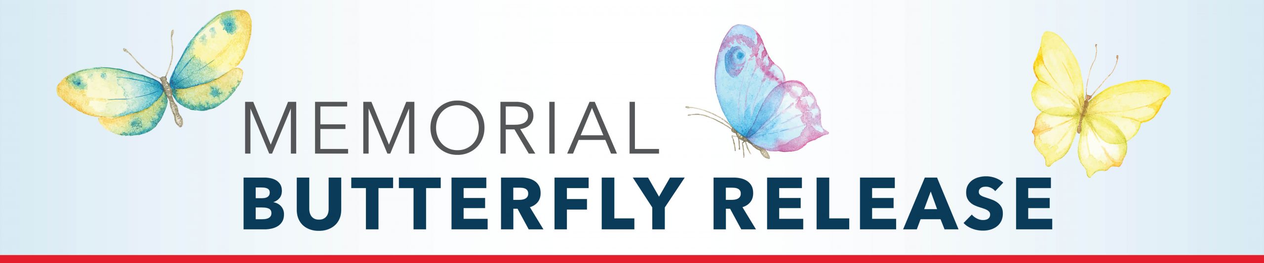 CLE-Butterfly-Release-Banner